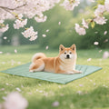 Cooling Pad for Dog Ice Green 48in x 28in - Natural No Gel Cooling
