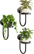 Bamworld Hanging Planters for Indoor Plants - Stylish Wall Decor