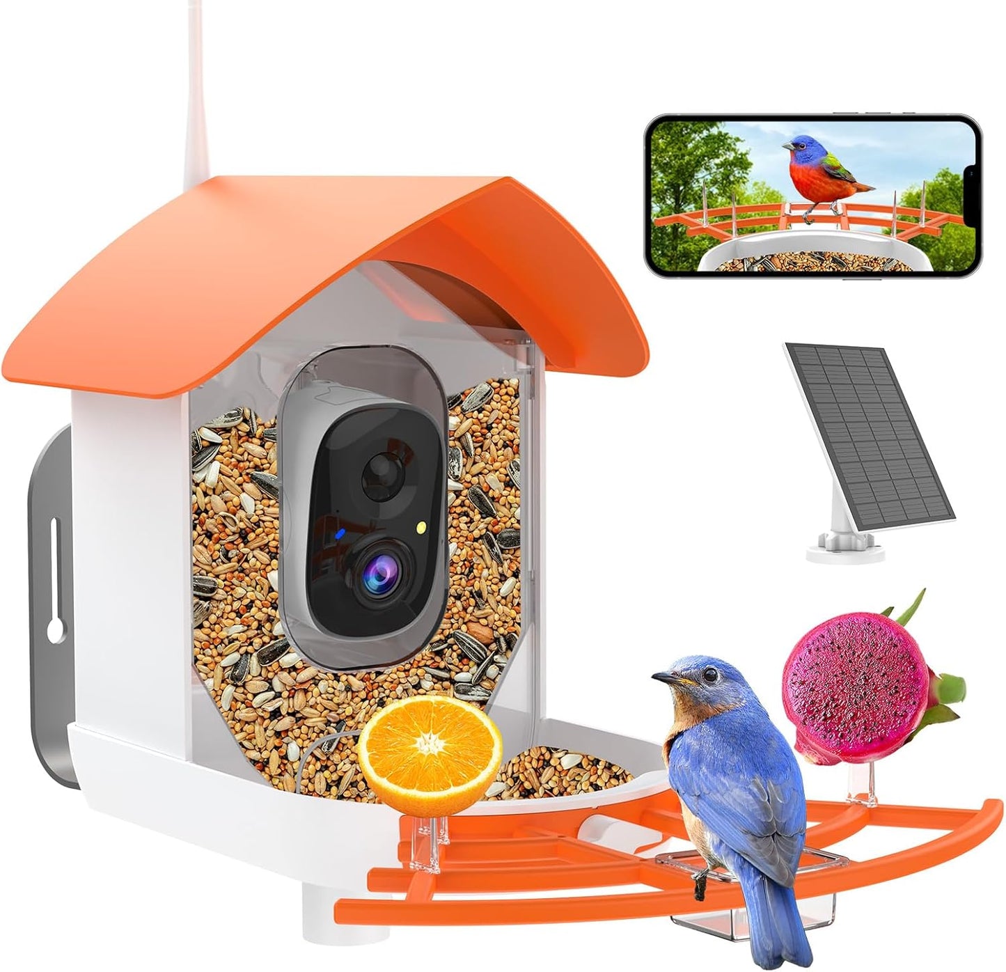 Smart Bird Feeder with Camera for Bird Watching and Recording