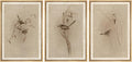 Framed Wall Art Print Set 16x24x3 Natural - Vintage Bird Wheat Ear