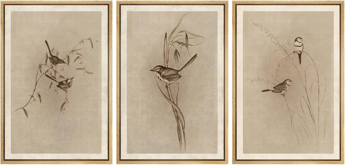 MUDECOR Framed Wall Art Print Set for Vintage Bird Illustrations
