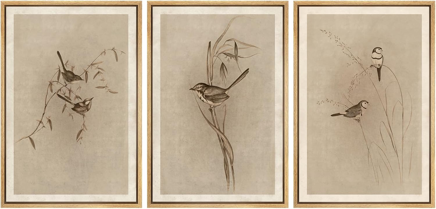 MUDECOR Framed Wall Art Print Set for Vintage Bird Illustrations