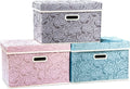 PRANDOM Larger Collapsible Storage Cubes with Lids - 3 Pack
