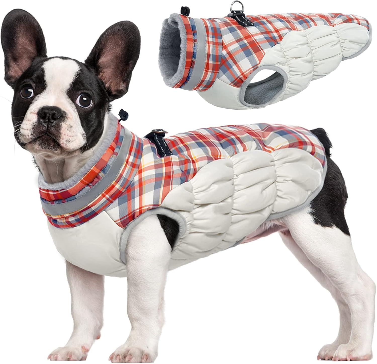 FUAMEY Dog Coat for Small Dogs - Waterproof Winter Jacket