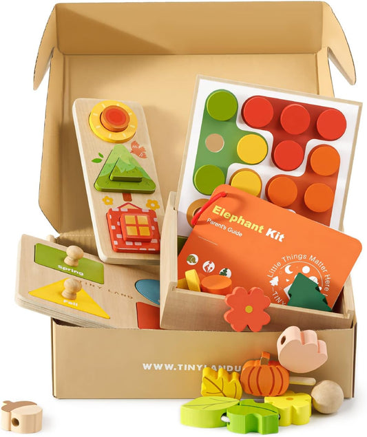 Tiny Land Montessori Toy Set for Babies - 4-in-1 Learning Kit