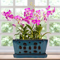 Orchid Pot with Holes 9.5 in Ceramic Planter Set - Drainage Ready