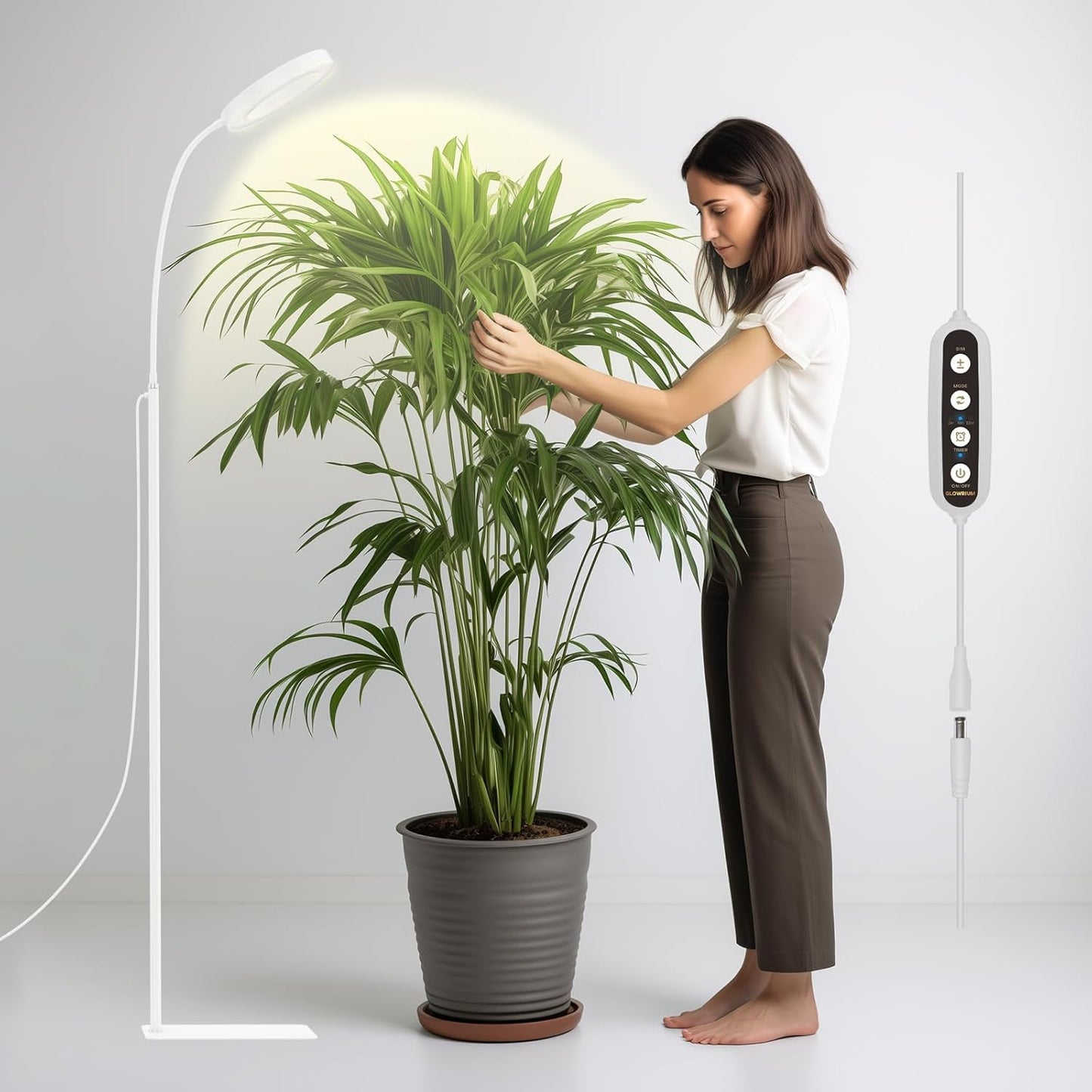 GLOWRIUM Grow Lights for Indoor Plants with Adjustable Height