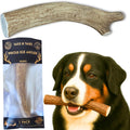 Whole Elk Antler for Dogs Jumbo 9-11 in - Long-Lasting Chew
