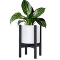 8 in Cylinder Planter with Stand - Matte White Pot + Ebony Stand