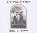 Teens Of Denial Vinyl LP - Intimate, Ambitious Indie Rock