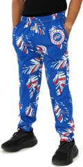 Zubaz NFL Team Logo Pants for Ultimate Game Day Style and Comfort