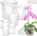 Clear Nursery Pots with Drainage for Indoor Outdoor Planting