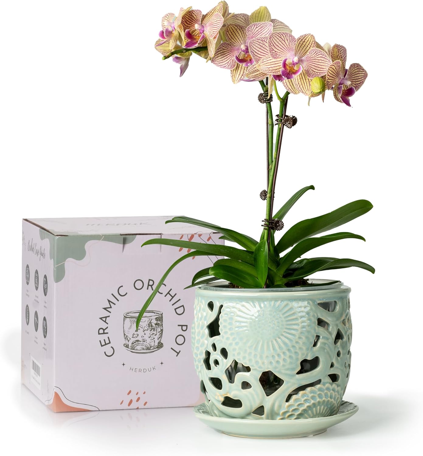 Ceramic Orchid Pot with Drainage Holes & Saucer for Indoor Use