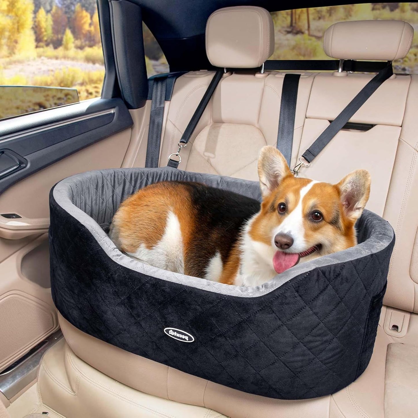 Pecute Dog Car Seat: Comfy & Safe Ride for Your Pup