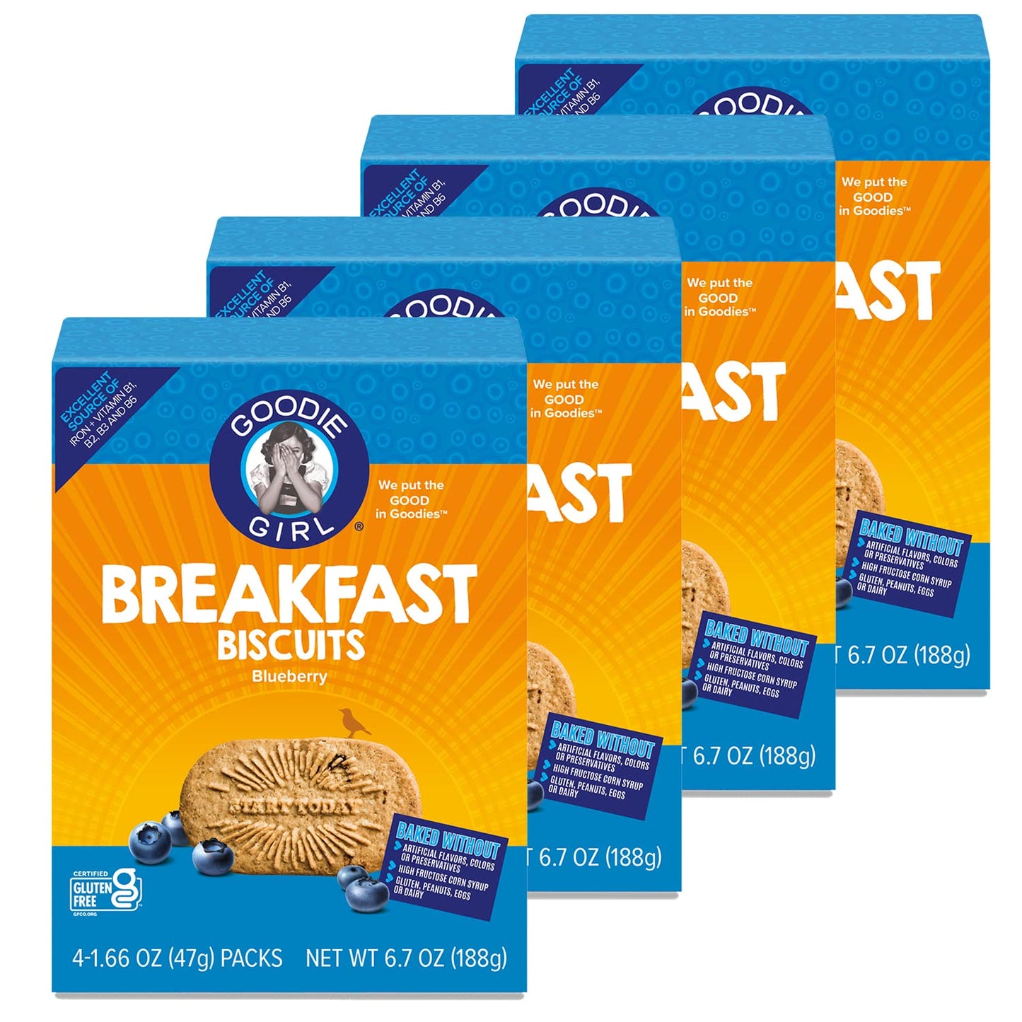 Blueberry Breakfast Biscuits - Gluten Free & Plant Based Snack