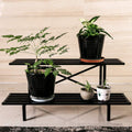 Sturdy Metal Plant Stand with Heavy Duty Construction for Home