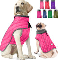 Dog Winter Coat with Harness Hole - Waterproof Fleece Reflective