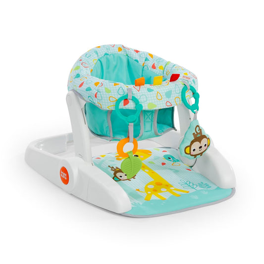 Bright Starts Learn-to-Sit 2-Position Baby Floor Seat Review