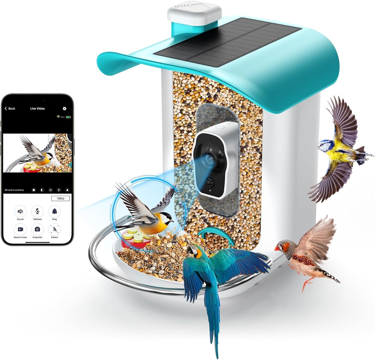 Wireless Bird Feeder Cam: HD Video, AI Identify, Solar, 64GB