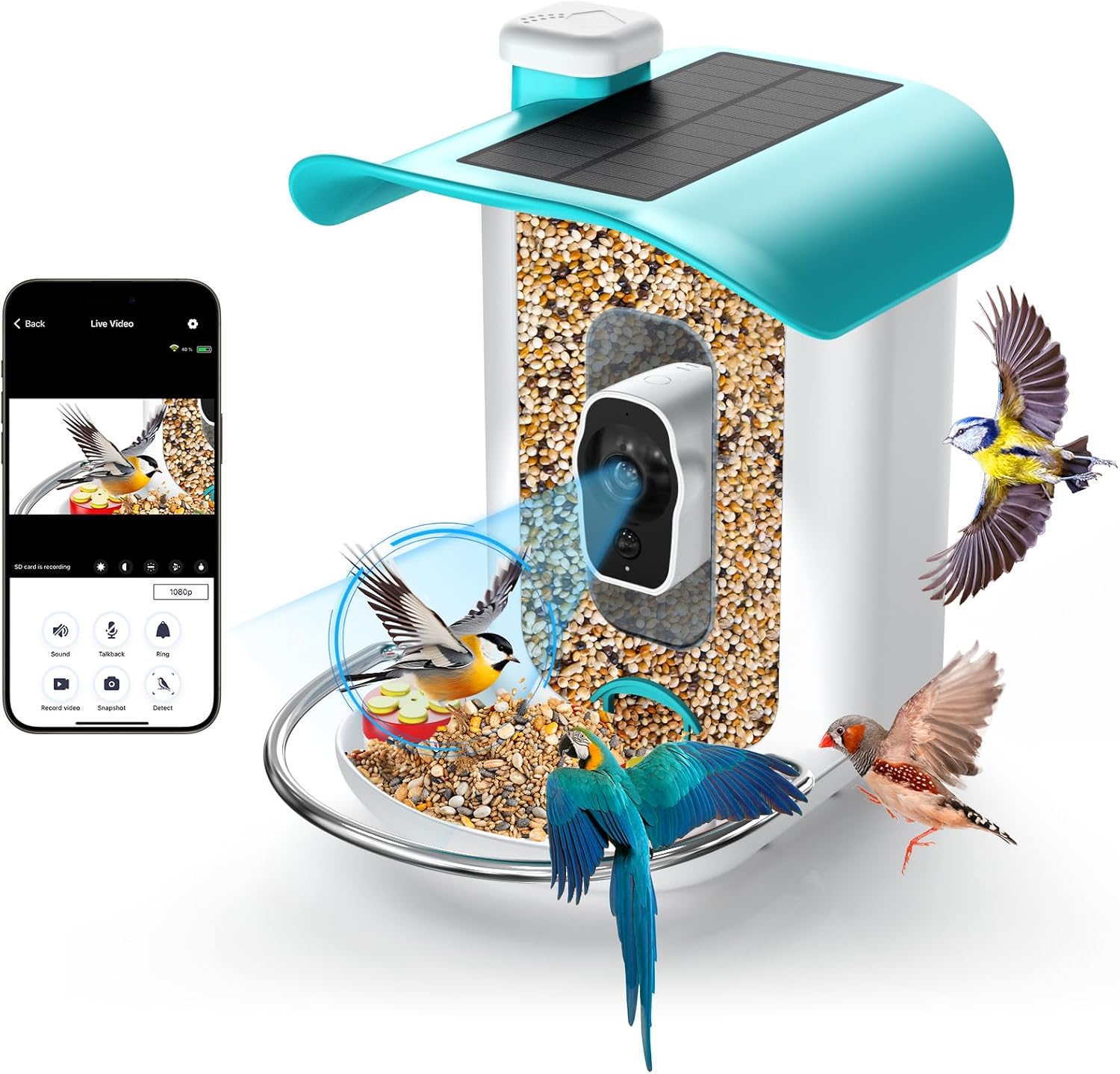 Wireless Bird Feeder Cam: HD Video, AI Identify, Solar, 64GB