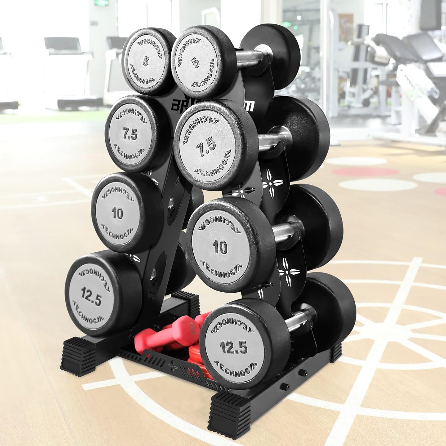570lbs Max Support Dumbbell Rack - 4 Tier Compact Design – GearMustHave
