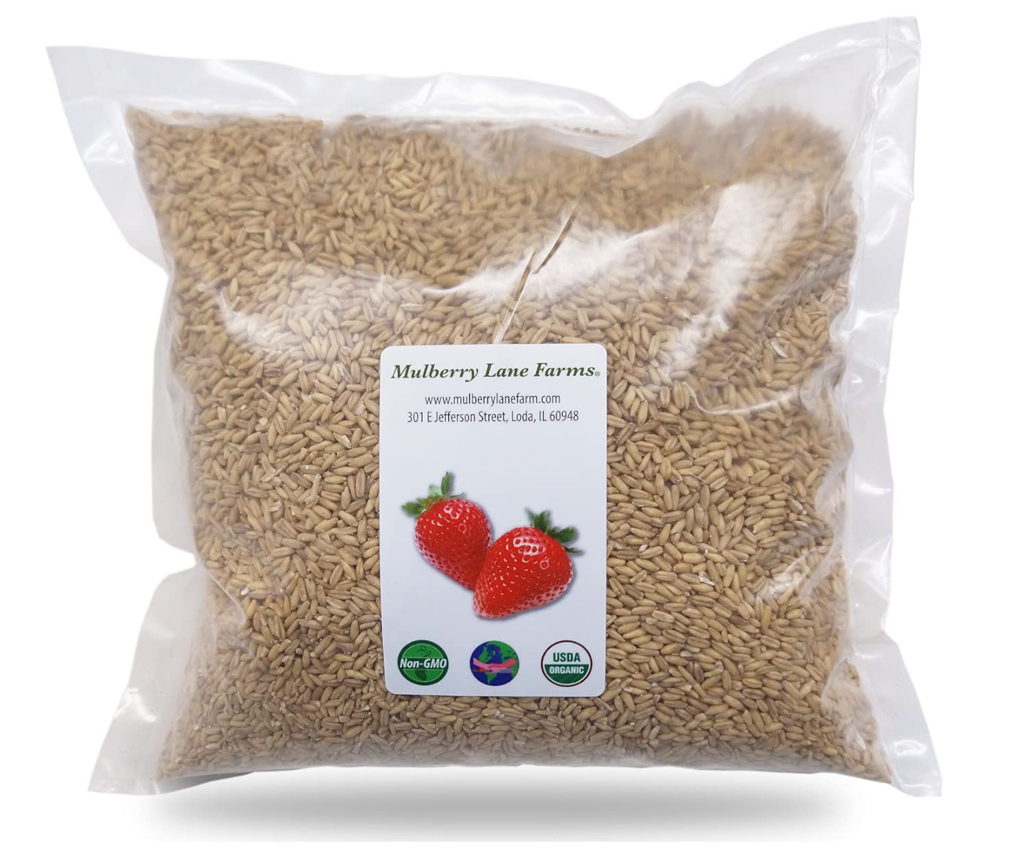 Whole Oats 5 Pounds USDA Certified Organic Non-GMO Bulk Groats
