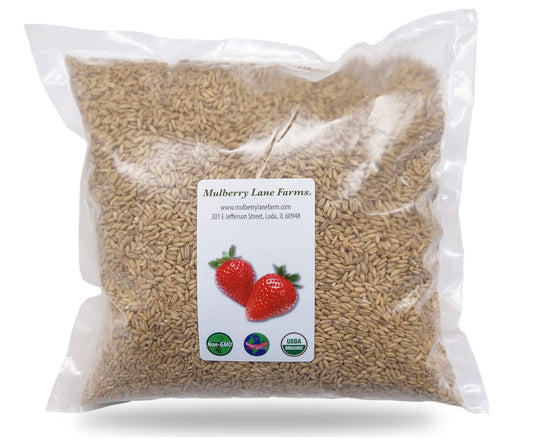 Whole Oats 5 Pounds USDA Certified Organic Non-GMO Bulk Groats