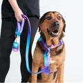 No Pull Dog Harness for Large Dogs - Heavy Duty Y-Shaped Halter L