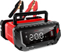 20 Amp Lithium Battery Charger for 12V and 24V Lifepo4 Use