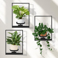Wall Planters for Indoor Plants Window Shelves Set of 3 - Space Saving