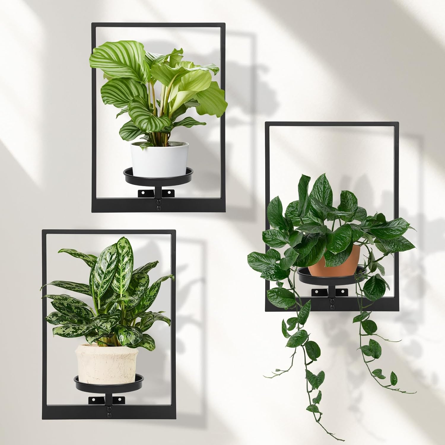 Wall Planters for Indoor Plants - Unique Metal Hanging Holder