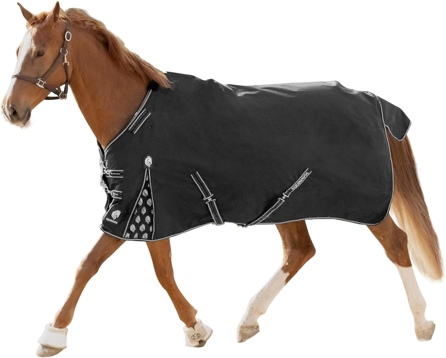 Equinavia Norse Medium Weight Waterproof Horse Blanket - 66 in