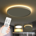 Roomratv Ceiling Light Fixture with Remote Control - Dimmable