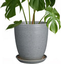 8 Inch Ceramic Plant Pot Light Gray - Modern Indoor Planter