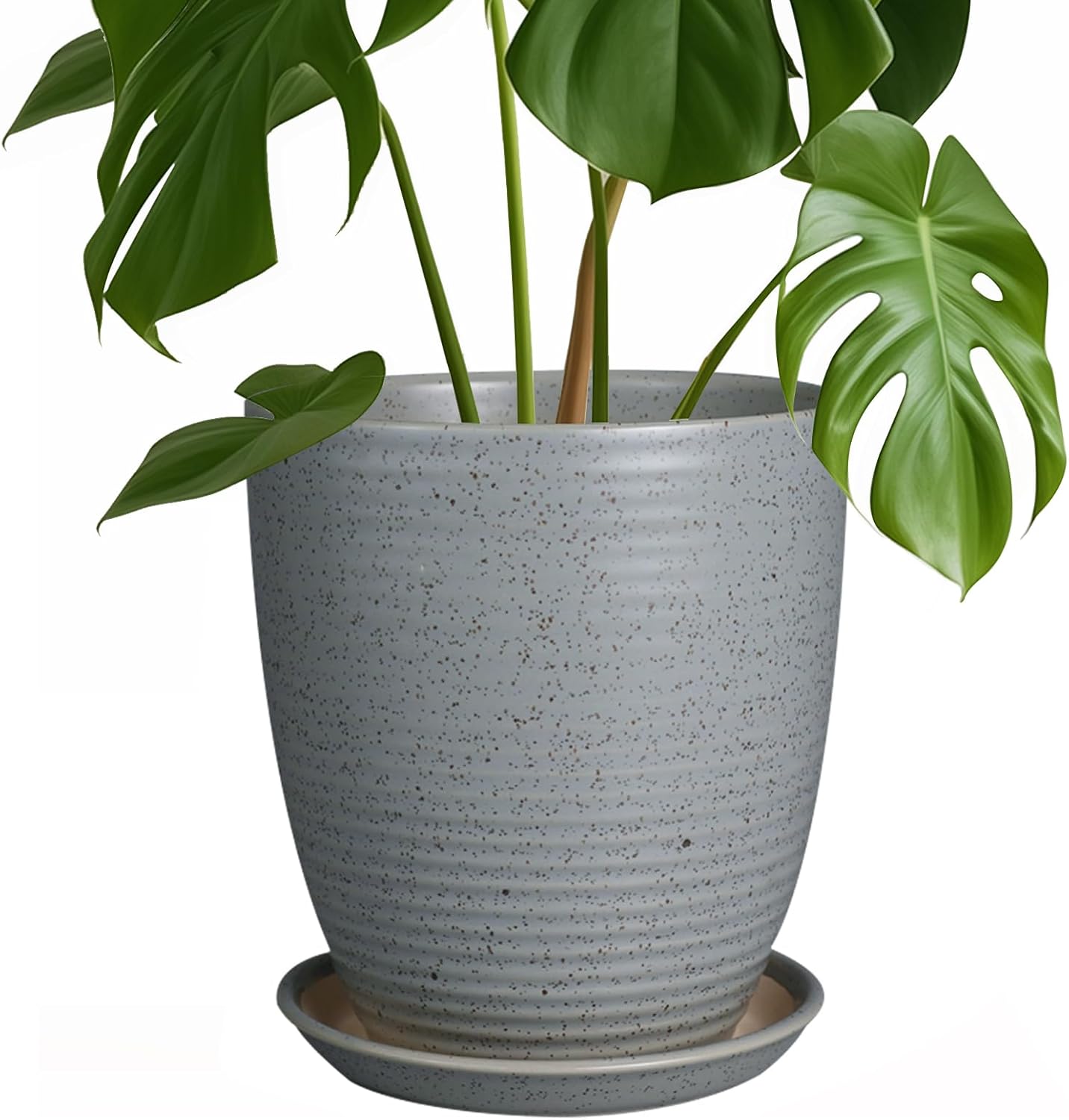 8 Inch Ceramic Plant Pot with Drainage Hole for Indoor Plants