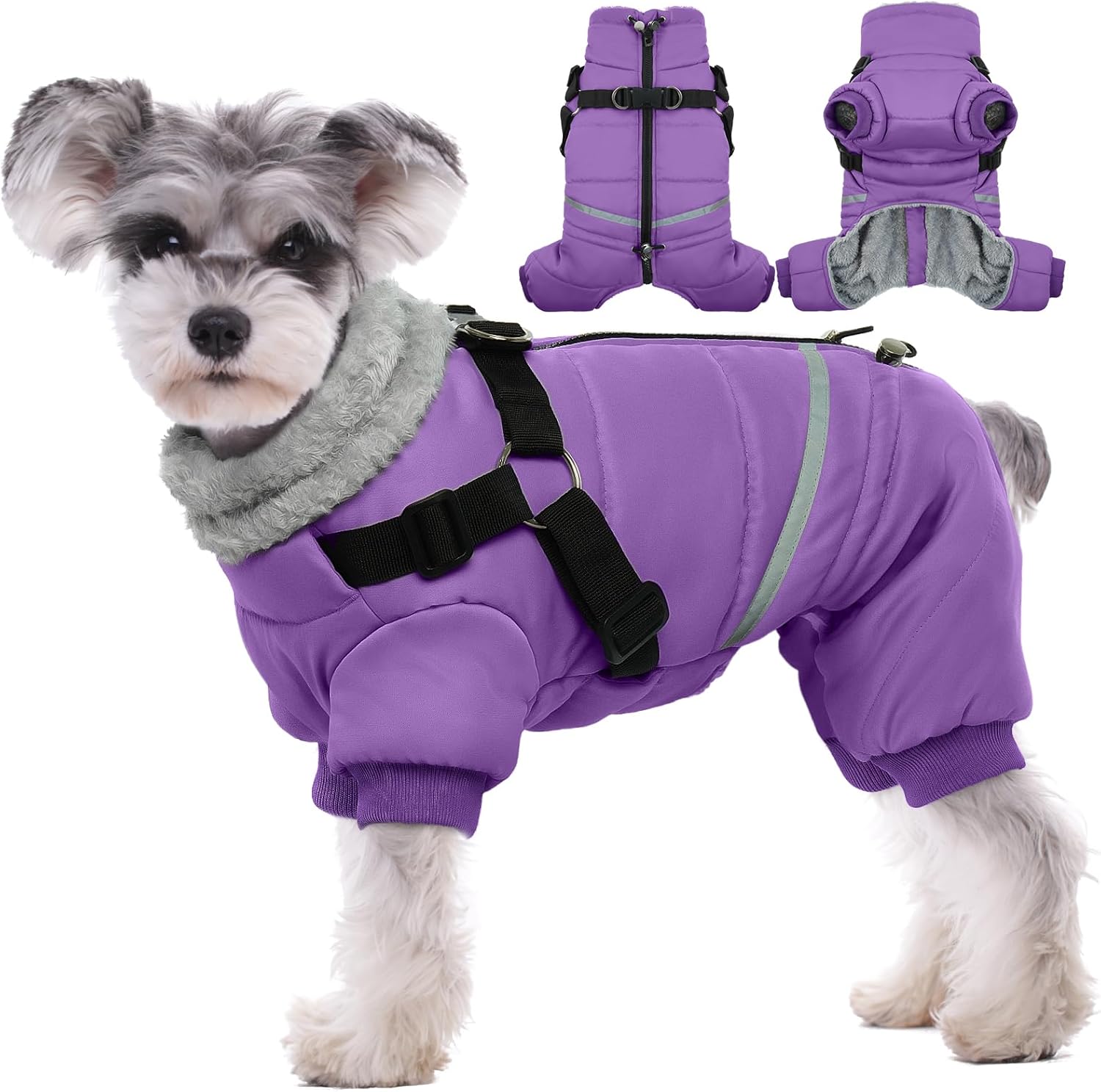 BRKURLEG Purple Dog Coat with Harness for Small Dogs Winter