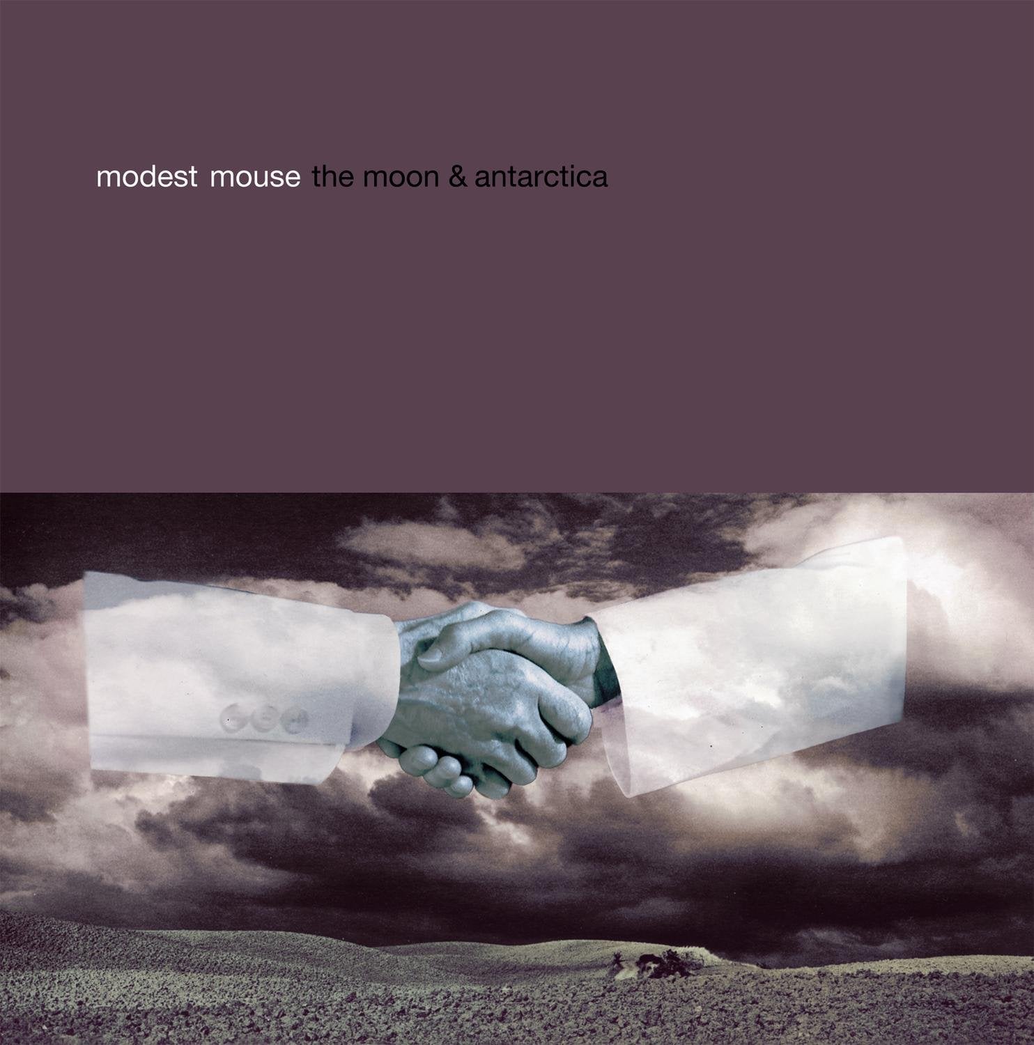 The Moon & Antarctica Vinyl Record by Legacy Recordings Review