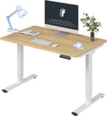 FLEXISPOT E6 Essential 3-Stage Dual Motor Electric Standing Desk
