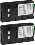 Kastar NP-55H 6.0V 2650mAh Ni-MH Camcorder Battery 2-Pack - Long Run