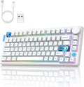 Wireless Gaming Gasket Mechanical Keyboard 75% Compact - Quiet