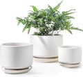 Ceramic Plant Pots Set of 3 - Drainage Planters for Indoor Plants