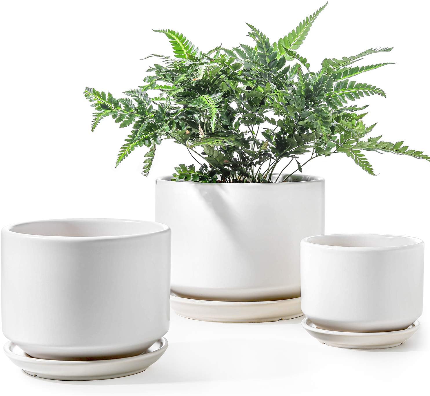 LE TAUCI Ceramic Plant Pots Set of 3 with Drainage Holes