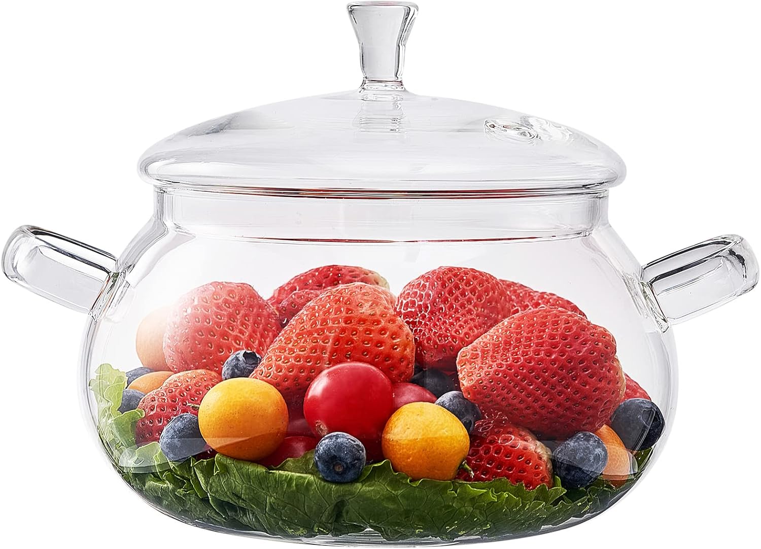 Borosilicate Glass Pot 2.5 Quart Saucepan for Healthy Cooking