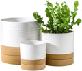 Hasense Ceramic Plant Pots Set of 3 - White Indoor Planters