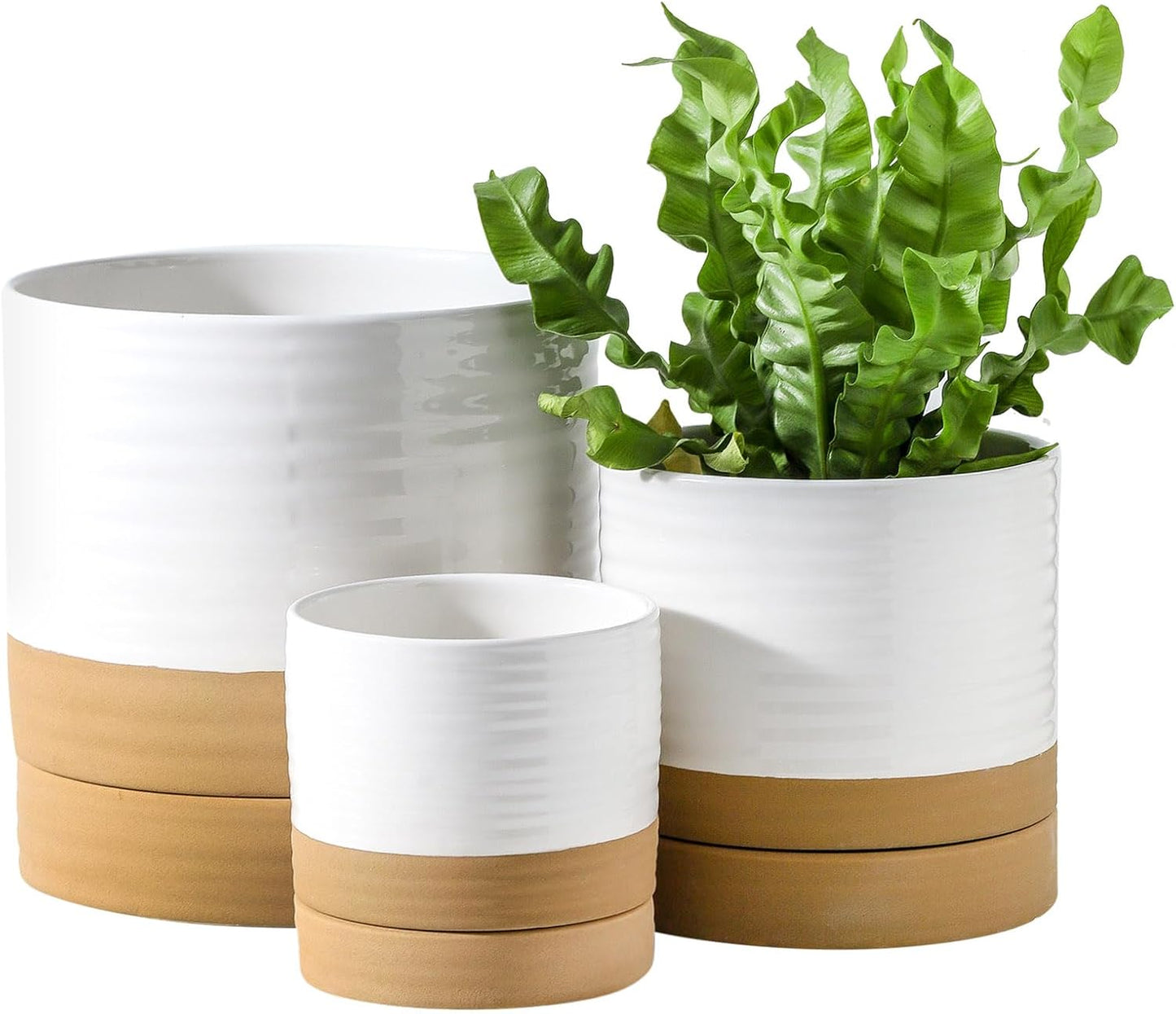 Hasense Ceramic Plant Pots Set for Indoor and Outdoor Use
