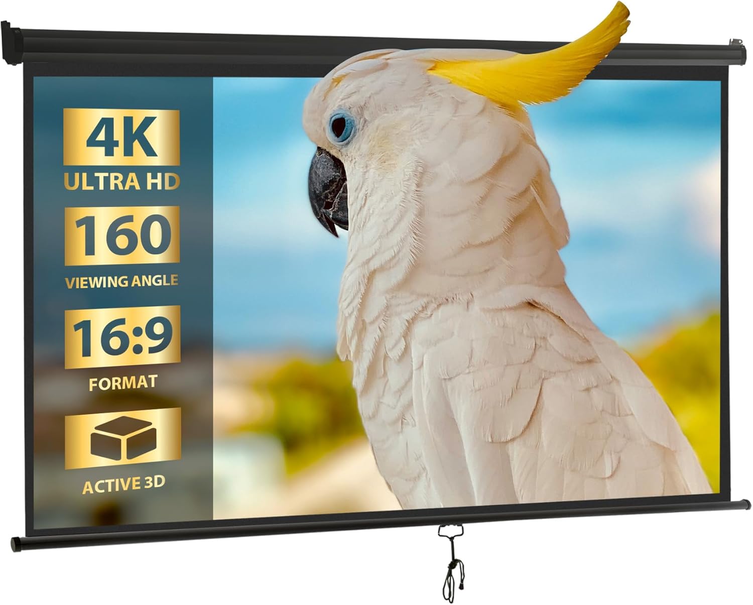 100ft' Portable Projector Movie Screen for Home Theater and Outdoor