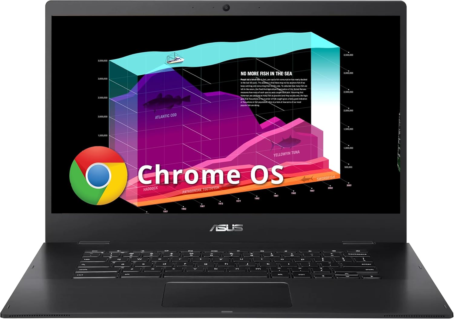ASUS Chromebook CX1500 15.6 FHD Laptop with Intel Celeron N3350