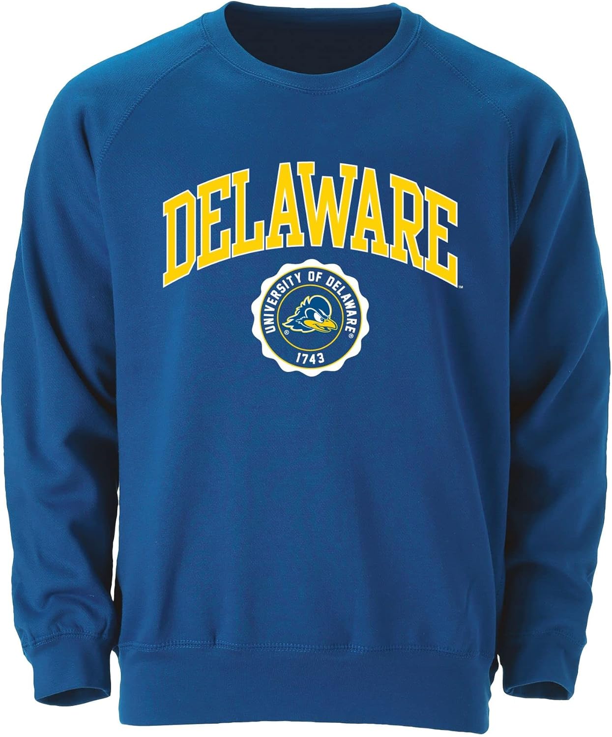 Barnesmith Crewneck Sweatshirt for College with Heritage Logo