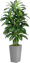 Artificial Dracaena Plant Indoor 5FT - Realistic Faux Tree