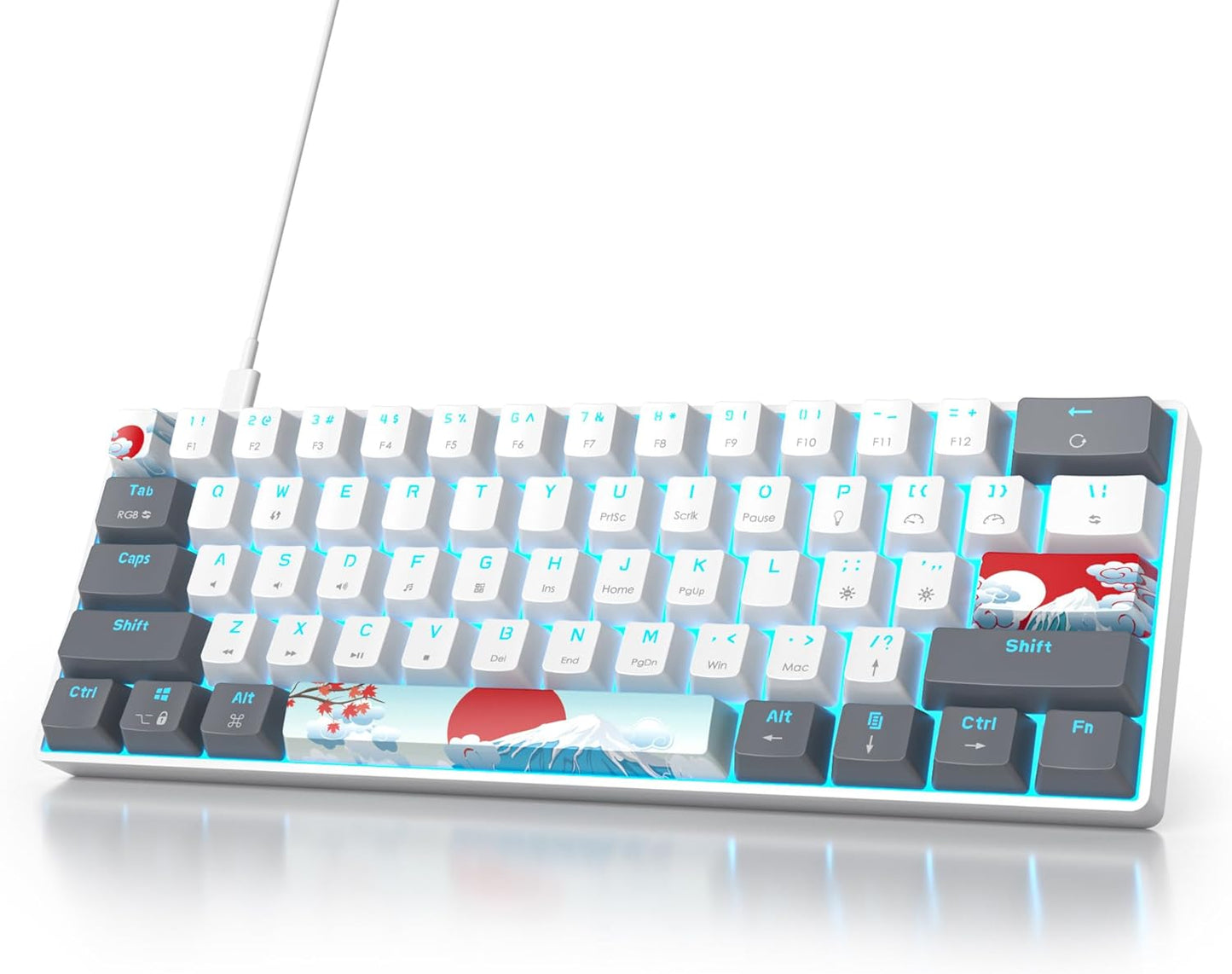 Owpkeenthy RGB Mechanical Keyboard: Ultra-Compact Mini Wired Gaming
